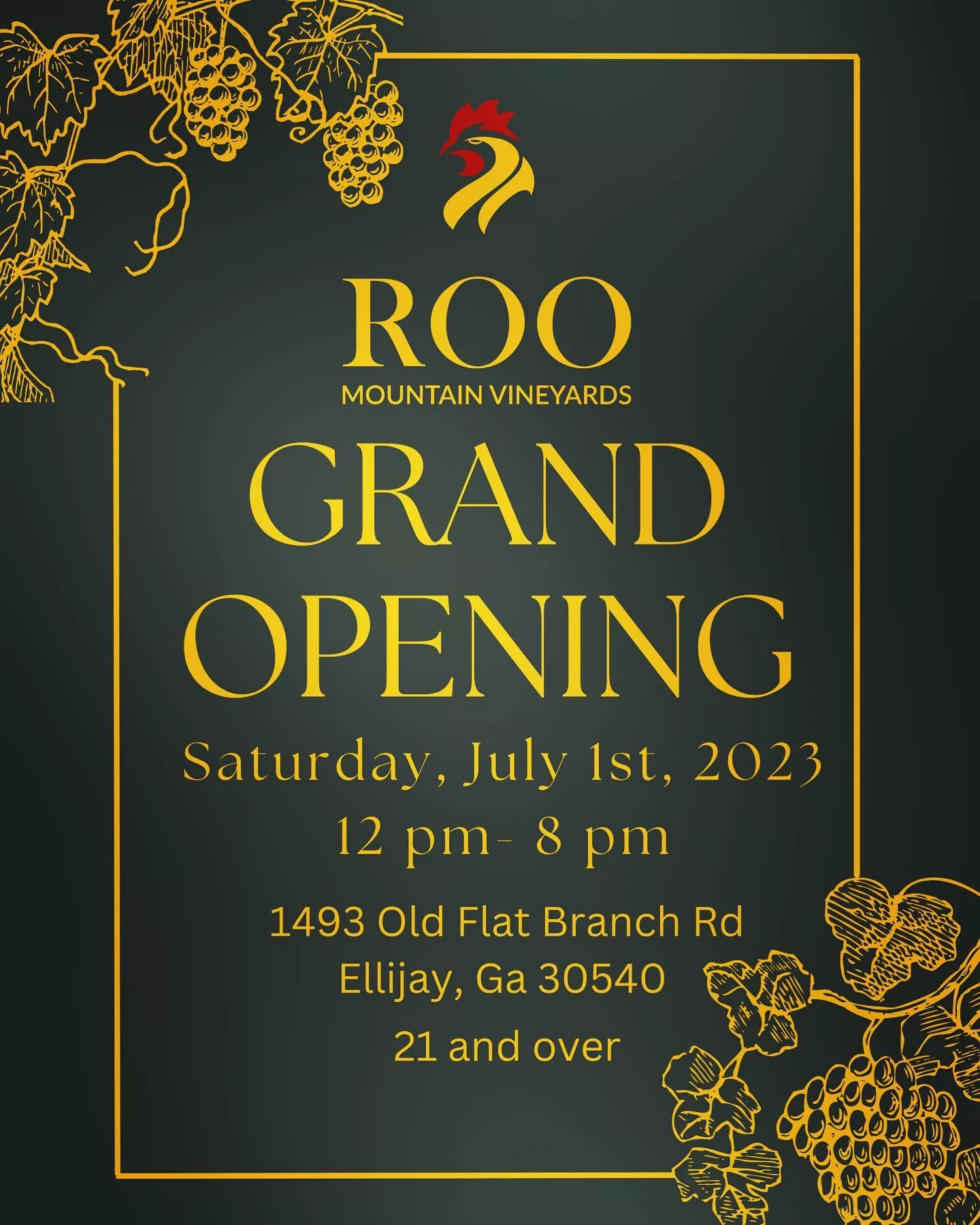 Roo Mountain Vineyards Grand Opening Celebration Event | Ellijay, Georgia