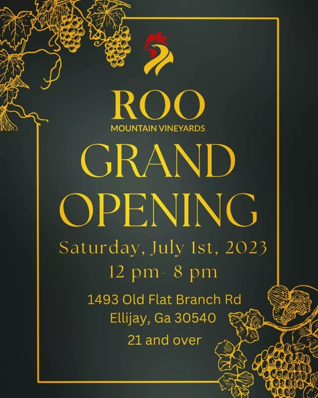 Roo Grand Opening flyer