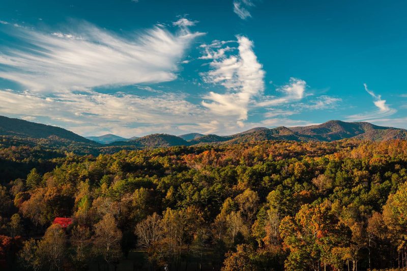 beautiful forest and mountains