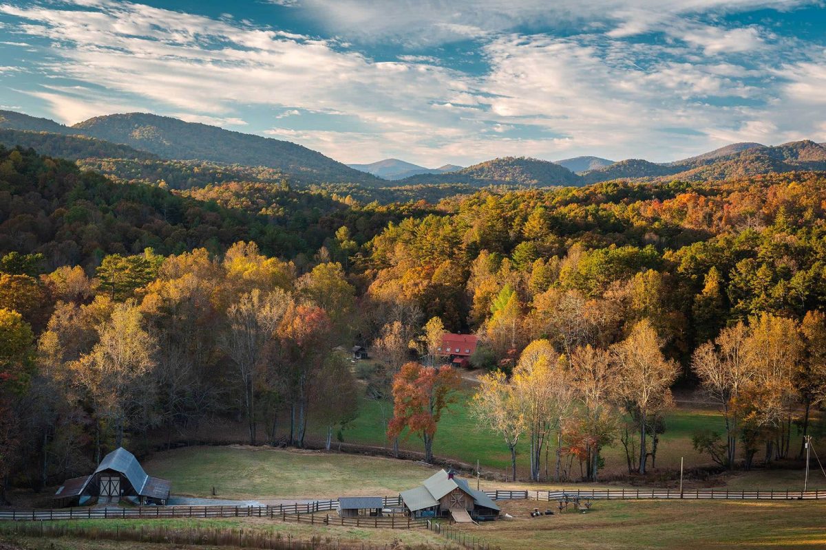 Roo Mountain Vineyards scenery in the fall