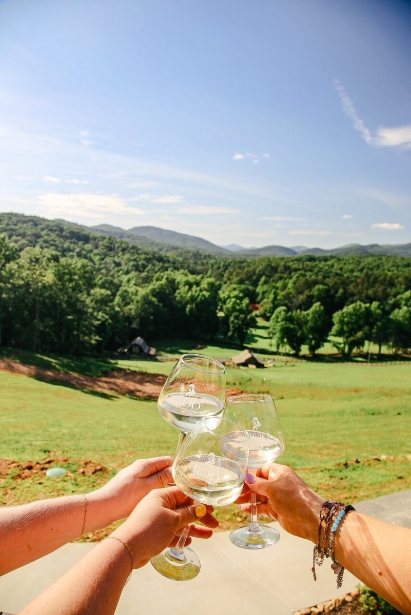 toasting wine glasses outside on a beautiful day